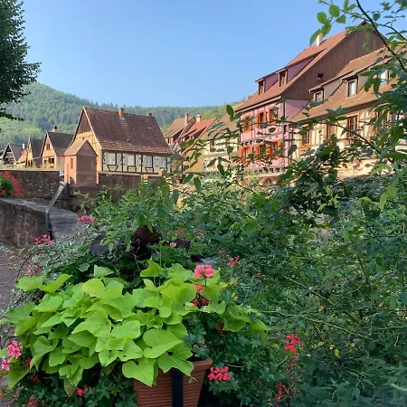 Studio Cosy Kaysersberg Centre Exterior photo