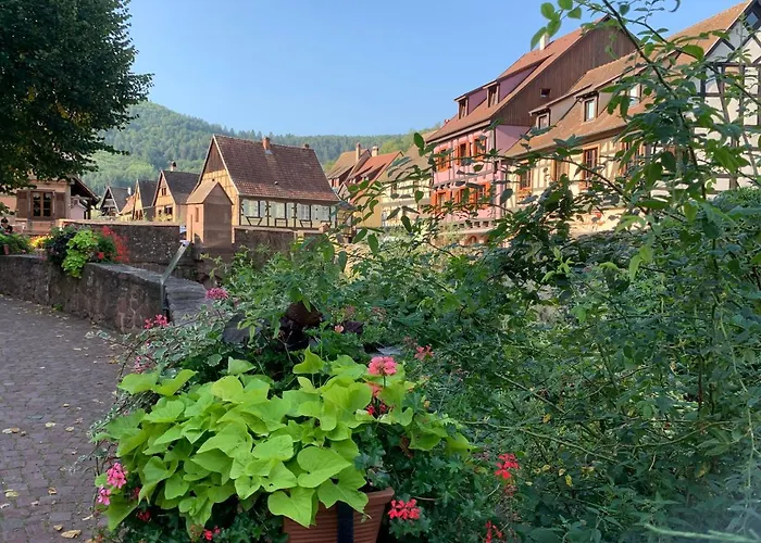 Studio Cosy Kaysersberg Centre