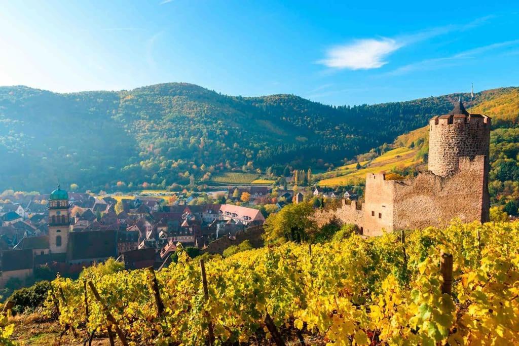 Cosy Centre Apartment Kaysersberg-Vignoble