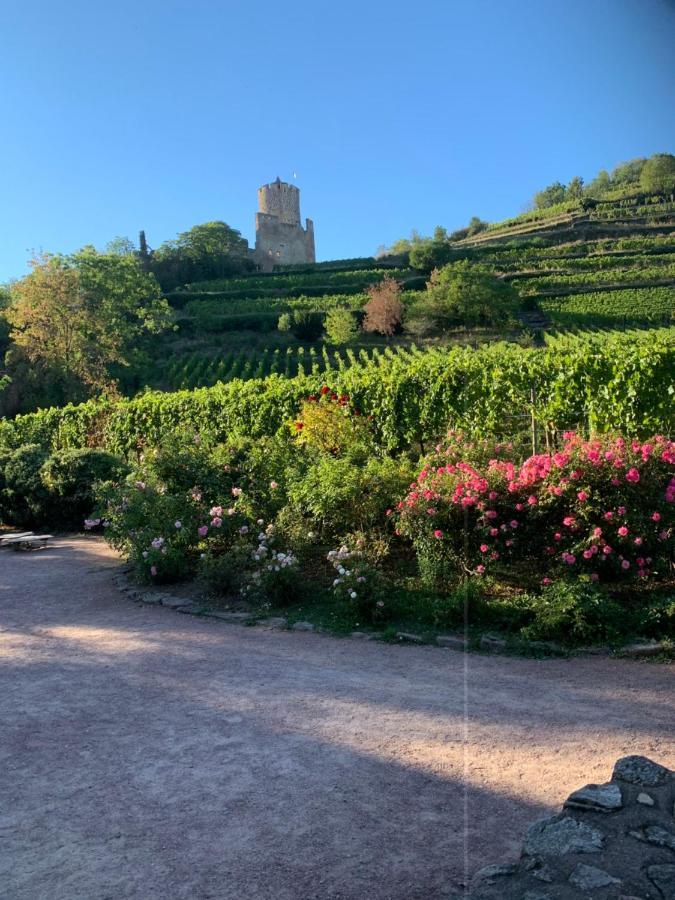 Apartment Cosy Centre Kaysersberg-Vignoble